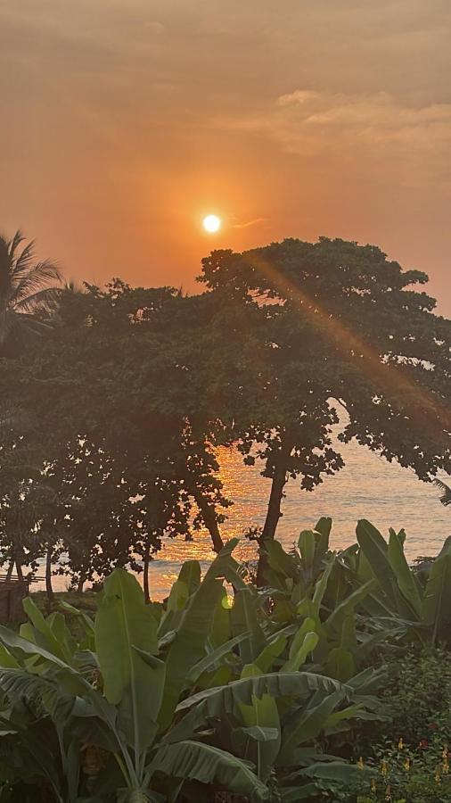 Swiss Cottage Kribi Extérieur photo